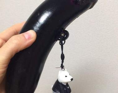 《大自然的奇蹟》天生擁有吊飾孔的奇妙茄子