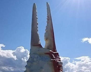 《推特爆紅觀光景點》看起來超好吃的超巨大螃蟹爪？