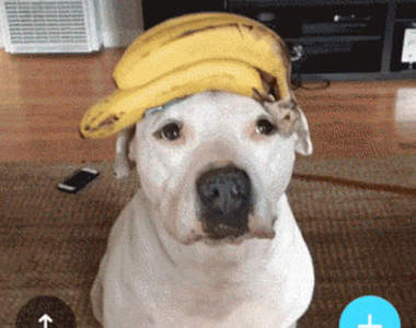 《Facebook Riff》臉書最新的影片互接 app 感覺會紅喔(汪)