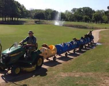 《流浪狗ㄅㄨ ㄅㄨ車》史上最萌流浪狗救援列車出發～