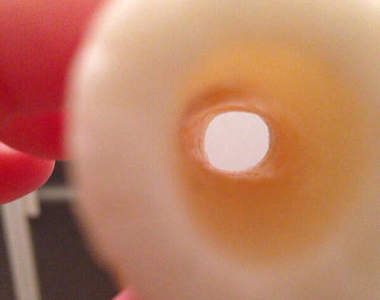 《插入竹輪洞裡最美味的配菜》這...這什麼邪惡的票選啊wwww