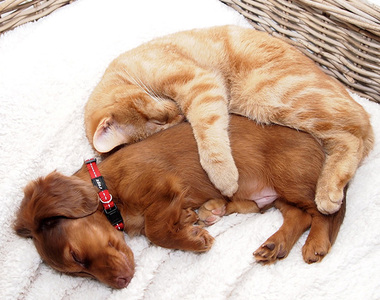 《親友度檢測》你身邊也有這樣的超級好朋友嗎?