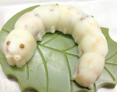 《蠶寶寶巧克力》蠶絲工廠的紀念點心也太神還原了吧