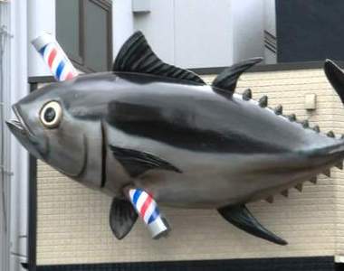 《日本各地名物》在外地人眼裡是很不可思議的奇觀？