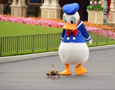 迪士尼《唐老鴨開工前》這是過份賣萌啊~