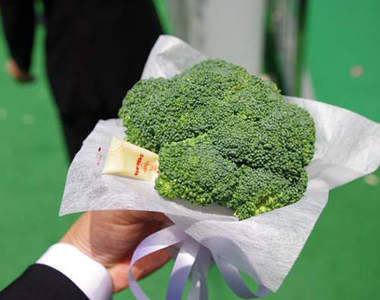 新郎專用《花椰菜捧花》連美乃滋也一起附上www