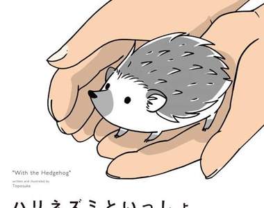 治癒系《刺蝟飼育漫畫》當膽小又充滿好奇心的刺蝟成為家人