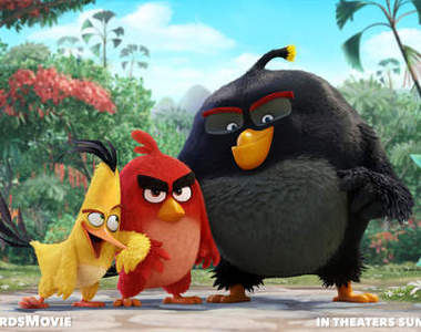 《憤怒鳥電影預告》熱潮都過了到底會有人多少人點進來？