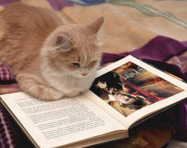 給下一個讀者的《哈利波特紙條》粉絲真是太有心了✪‿✪