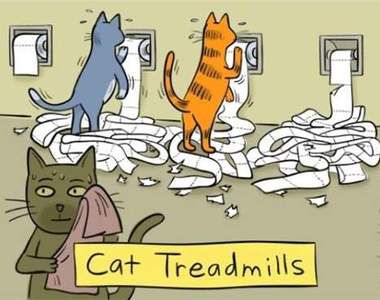 《喵星人的傲嬌時刻》好吧我拿你沒轍╮(╯3╰)╭