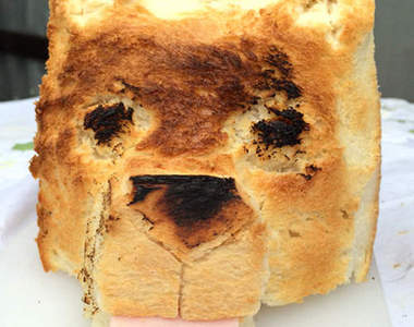 輕鬆自製《柴犬吐司麵包》但是柴犬根本不屑吃……