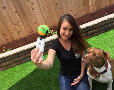 《讓狗狗看鏡頭的秘密武器》要看鏡頭的合照終於不是難事了