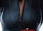 網友自製《蟻人》乳浪海報 這一次蟻人爬到黑寡婦胸上啦 網友自製《蟻人》乳浪海報 這一次蟻人爬到黑寡婦胸上啦