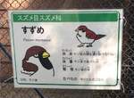 《動物園幽默介紹文》請小心會攻擊現充的大象www 《動物園幽默介紹文》請小心會攻擊現充的大象www