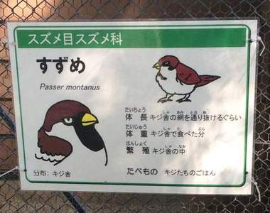 《動物園幽默介紹文》請小心會攻擊現充的大象www