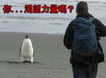 動物強者版「你渴望力量嗎?」違和感你快回來上班啊www 動物強者版「你渴望力量嗎?」違和感你快回來上班啊www