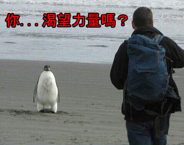 動物強者版「你渴望力量嗎?」違和感你快回來上班啊www
