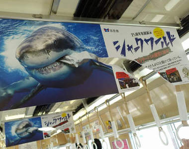 《日本創意車廂廣告》海報中的鯊魚竟然撕破了海報!?