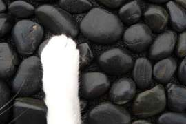 《生活宅偏方》堅固又耐用的DIY鋪石子地墊 《生活宅偏方》堅固又耐用的DIY鋪石子地墊