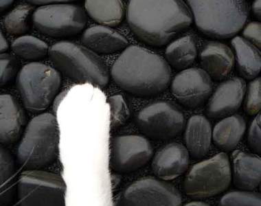 《生活宅偏方》堅固又耐用的DIY鋪石子地墊