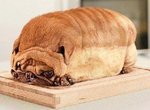 《看起來很好吃的動物》食物?動物?傻傻分不清楚啦~ 《看起來很好吃的動物》食物?動物?傻傻分不清楚啦~