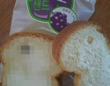 《超實在食品標語》年度最誠實廠商非你莫屬（笑）