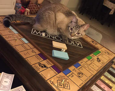 《大富翁求婚》機會跟命運中就藏著結婚婚戒