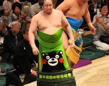 意外可愛的《相撲刺繡圍裙》又讓力士們多了一種萌萌的感覺♥