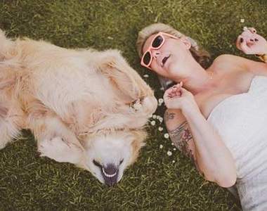 《寵物婚宴照》全場的焦點都落在這小傢伙身上了