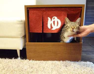 《貓咪澡堂風廁所》請問貓殿下 今天的水溫怎麼樣呢？