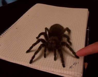 Stefan Pabst的《3D畫》畫了隻蜘蛛嚇女兒～女兒的反應是..？