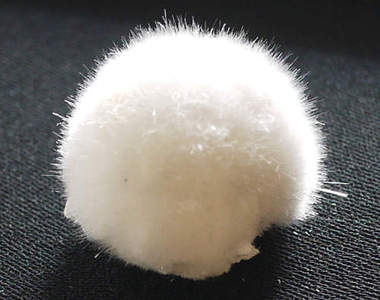 推特話題《兔尾石》超可愛又毛呼呼的圓球竟然是石頭！？