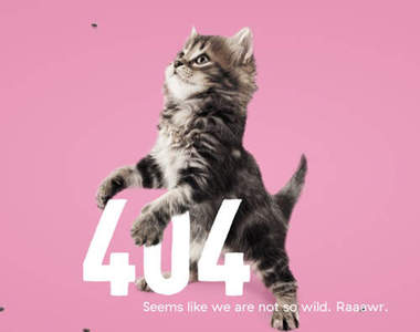 有創意的《404 錯誤頁面》當查無此站或打錯網址的時候就會出現了