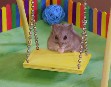 《鼠鼠迷你遊樂場》小朋友去旁邊玩沙(真的玩沙)