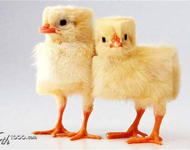 《方正的世界》原本是圓的東西變成方方正正感覺超微妙