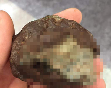 《超惡意情人節巧克力》好不容易收到巧克力怎麼開心不起來...（困）