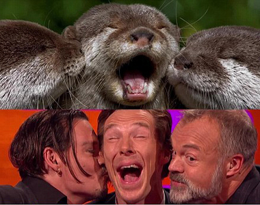 《班乃迪克與水獺》本人玩得這麼高興要粉絲怎麼幫你講話ww