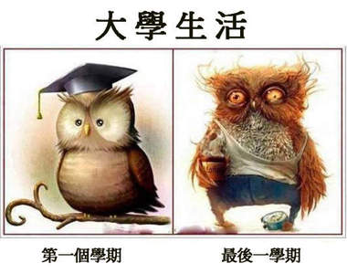《各科系誠實心聲》我絕對沒有要戰文理