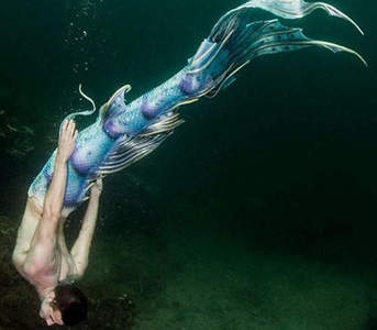 男人魚 宅宅新聞