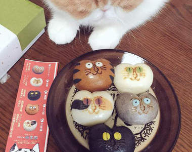 日本招福《貓子和菓》各種花紋都是代表不同的味道喔