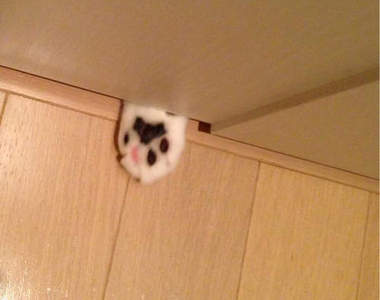 《門縫底下的貓手手》真是驚悚又可愛的肉球啊（戳）