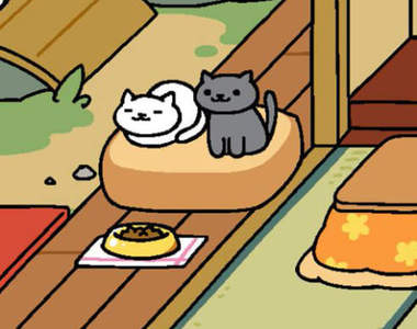 冬天慣例的《自製紙箱暖桌》依舊是捕捉貓咪的神器……