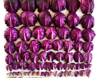 《超整齊照片》強迫症患者表示愉☆悅