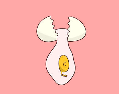 《蛋再大蛋黃永遠一樣大?》日本網友親手實驗終結謠言……