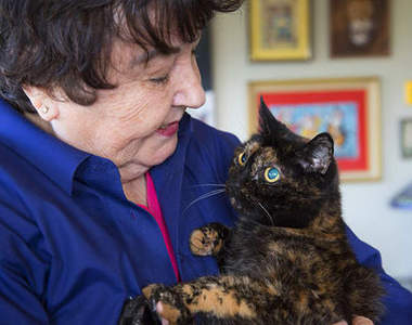 《世界最長壽的貓》27歲高齡貓瑞最後的日子是...(感動)