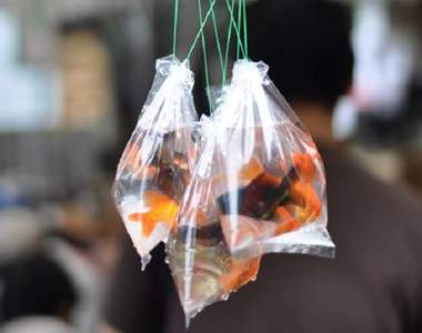 《愛開玩笑的老媽》當她的小孩隨時都可能被嚇出一身冷汗Σ(;ﾟдﾟ)