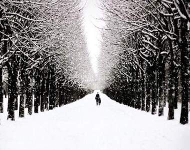 《夢幻般的白銀世界》來自世界各地的雪景照片集