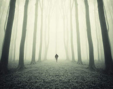 《宅宅心理測驗》在樹林里牽手的人代表了...？