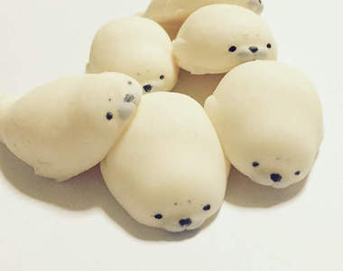 《超Q彈海豹》這軟Q的感覺讓人想捏著玩啊~