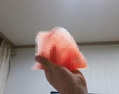 《西瓜新切法》腦婆跟我說說你怎麼辦到的?